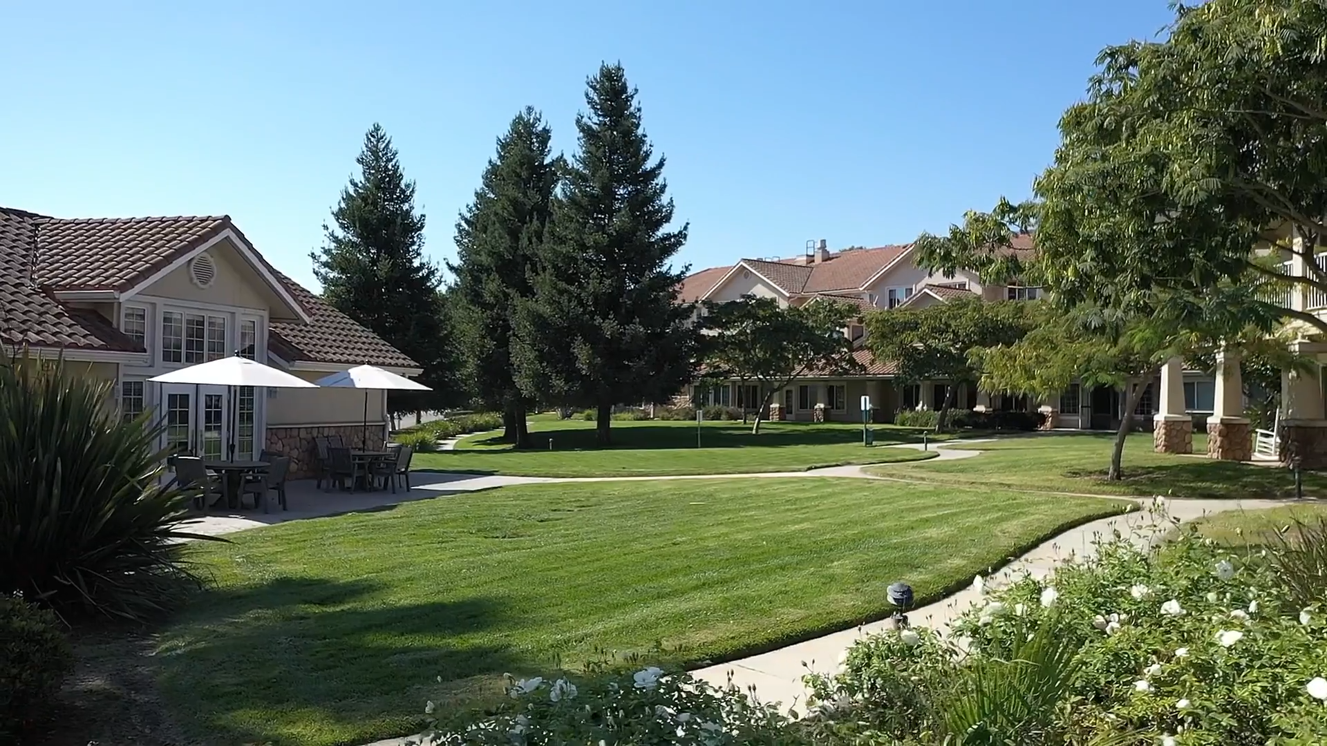 The Orchard Thumbnail