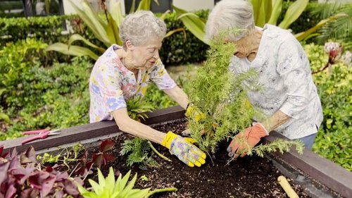 This is My Perfect Home Thumbnail